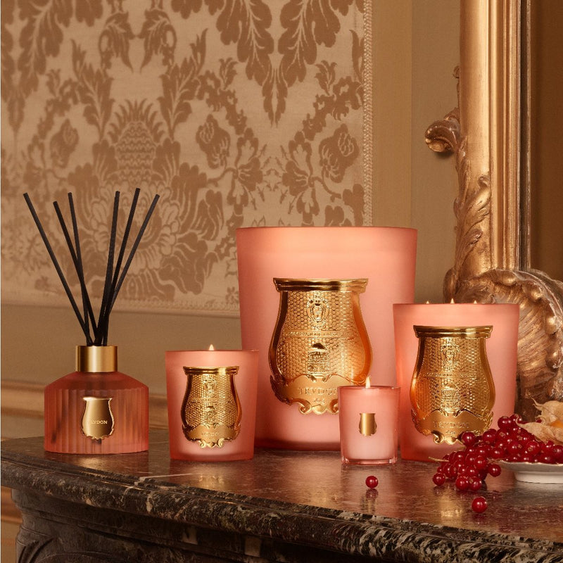 CIRE TRUDON Tuileries Candle 270gm