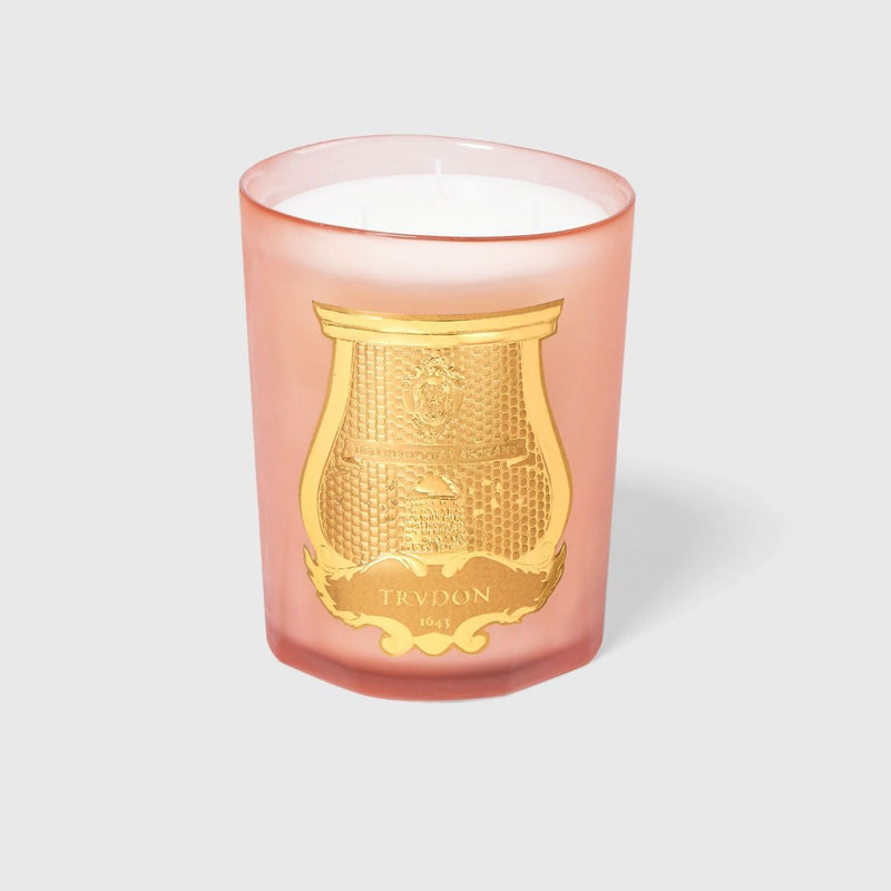 CIRE TRUDON Tuileries Candle Great 3kg