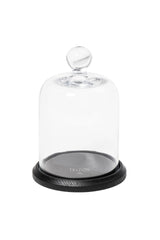 Trudon La Cloche glass dome alone on its black base