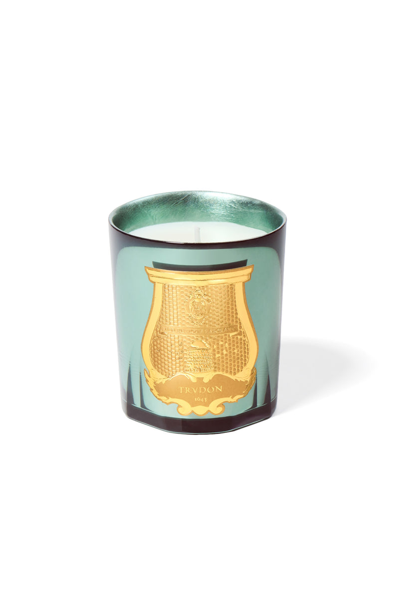 Trudon Fir Classic Candle 270g in celadon mirrored glass with the gold Trudon cartouche