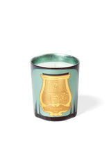 Trudon Fir Classic Candle 270g in celadon mirrored glass with the gold Trudon cartouche