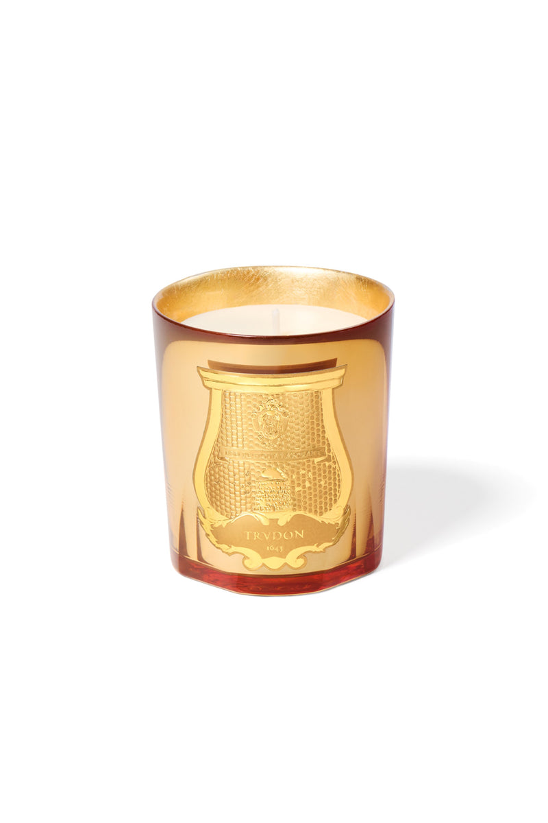 Trudon Galerie des Flammes Classic Candle 270g in gold mirrored glass with the gold Trudon cartouche