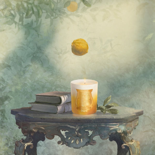 TRUDON De Oro Classic Candle 270g