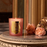 CIRE TRUDON Tuileries Candle 270gm