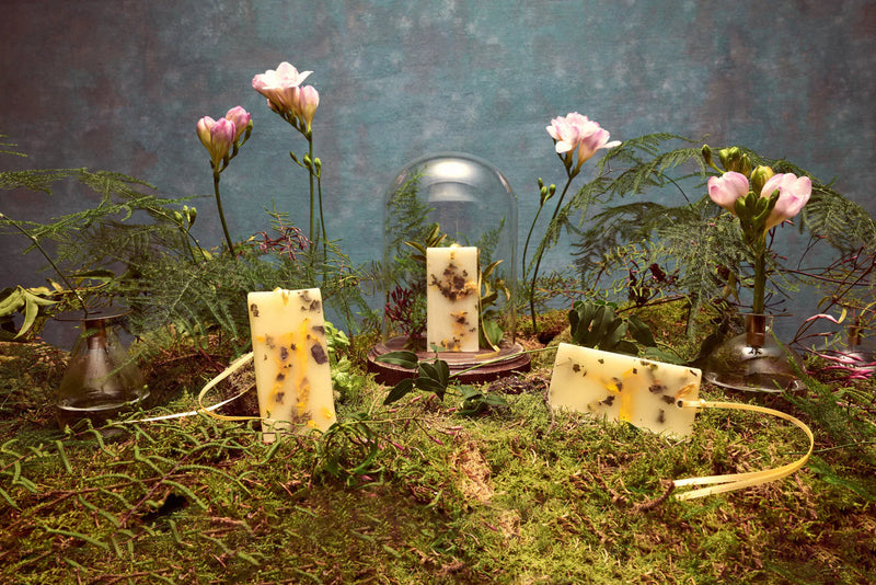 SANTA MARIA NOVELLA Fresia - Scented Wax Tablets