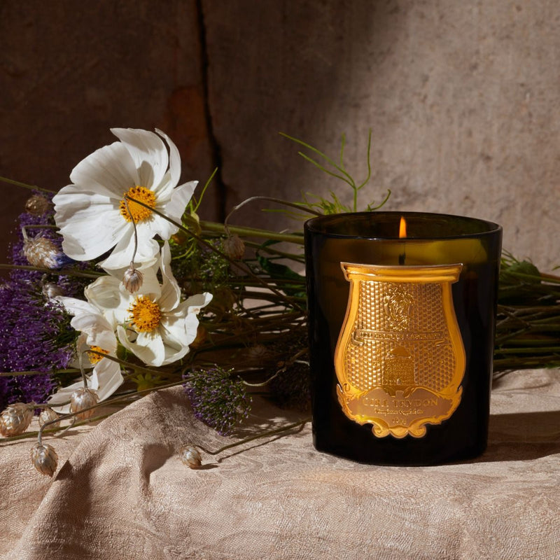 CIRE TRUDON Gabriel Classic Candle 270g