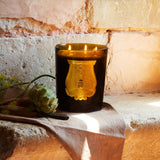 TRUDON Ernesto Candle Great 3kg