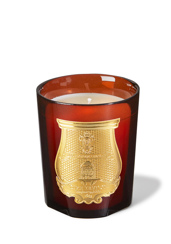 CIRE TRUDON - Cire Candle, 270g