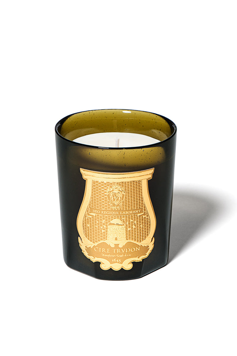 Trudon Solis Rex Classic Candle 270g, green glass with gold-leaf crest, front view