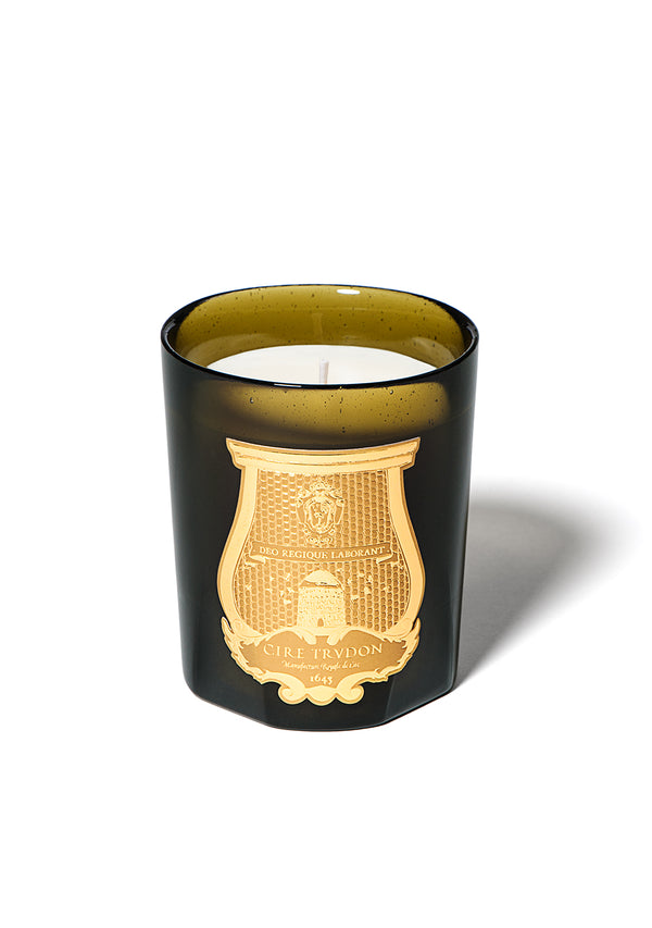 CIRE TRUDON - Madeleine Classic Candle 270g
