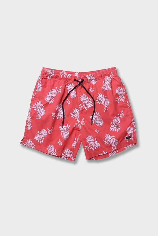THE ACADEMY BRAND Miki Boardy - Watermelon