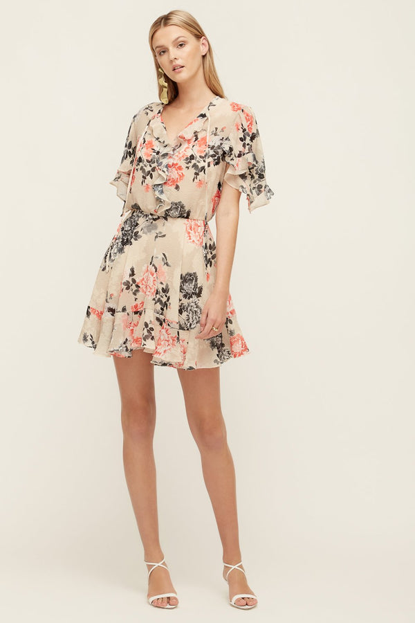 Lover Painterly Floral Mini Dress, Bone