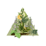 SANTA MARIA NOVELLA Pot Pourri Firenze 1221 Edition 100ml