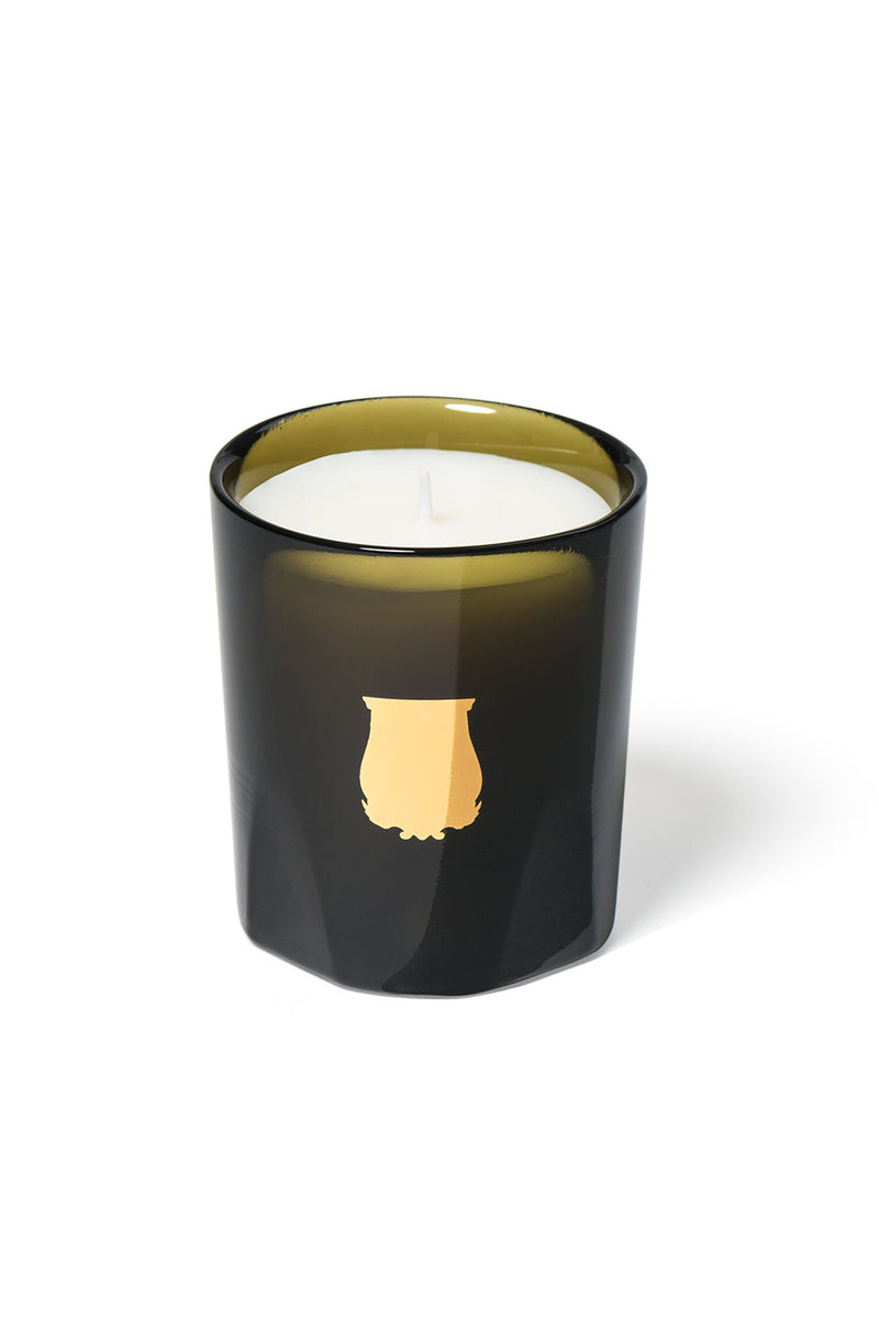 Trudon Odalisque Petit Candle 70g, green glass with small gold crest, front view