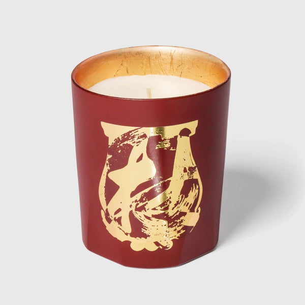 TRUDON Tseng Terre a Terre Candle 270g