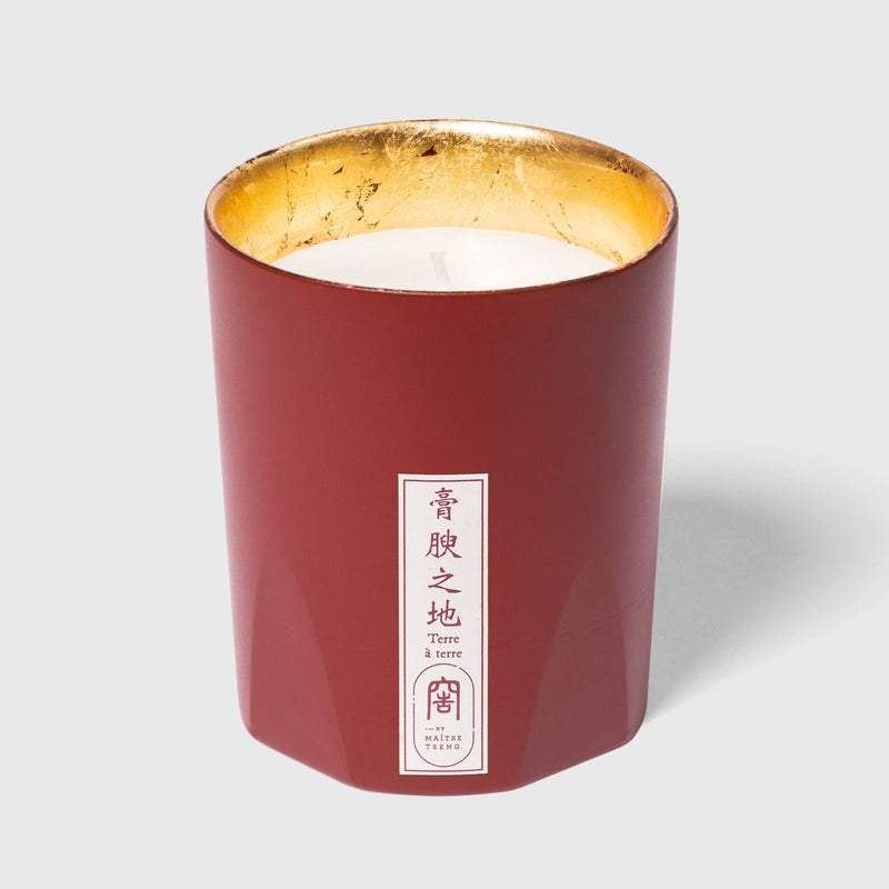 TRUDON Tseng Terre a Terre Candle 270g